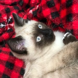 Meet your Posher, Makaylla